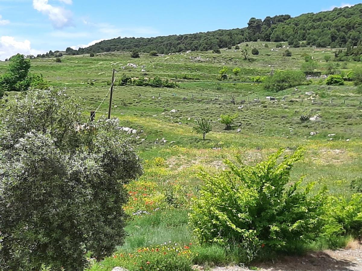 Casa Rural "Eccehomo De Borja" Konuk evi Dış mekan fotoğraf