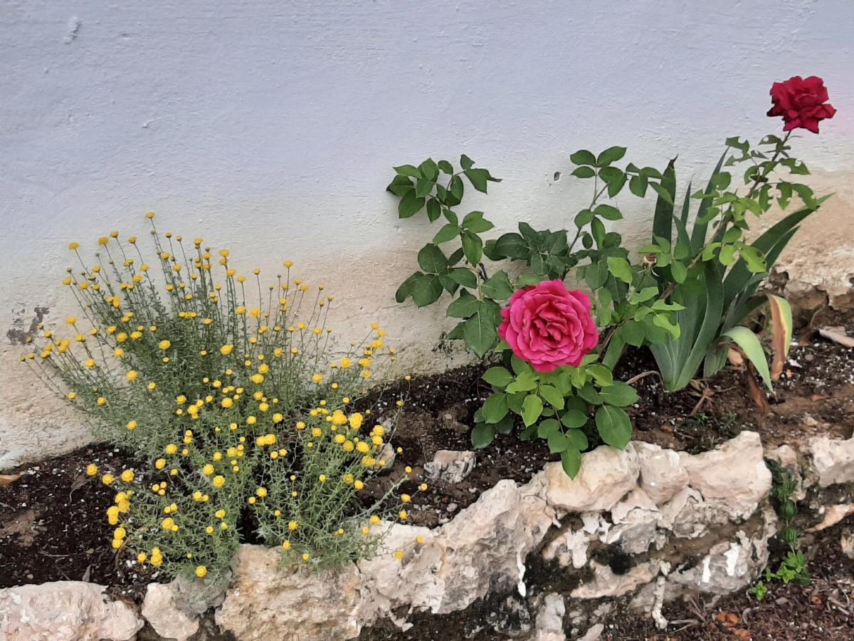 Casa Rural "Eccehomo De Borja" Konuk evi Dış mekan fotoğraf