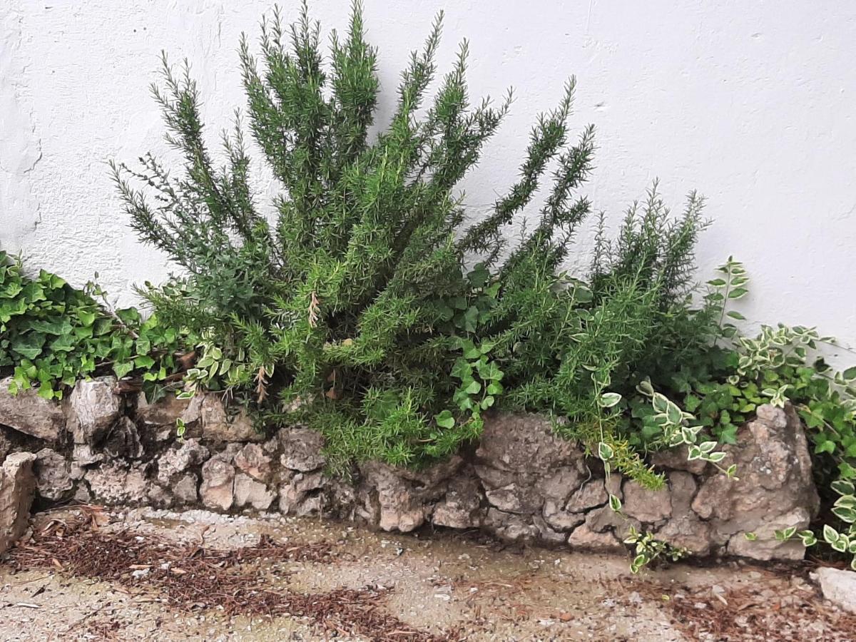 Casa Rural "Eccehomo De Borja" Dış mekan fotoğraf