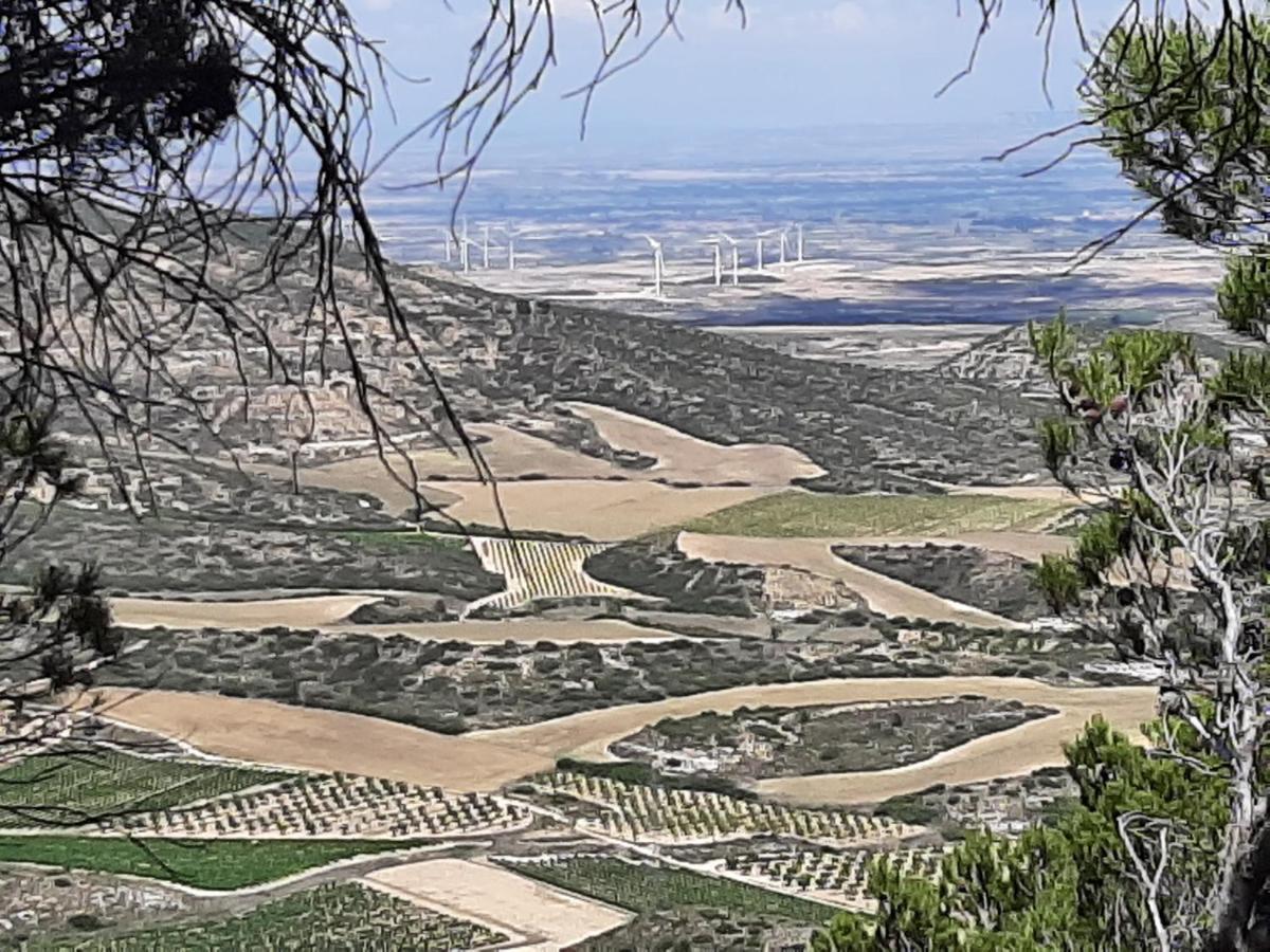 Casa Rural "Eccehomo De Borja" Konuk evi Dış mekan fotoğraf