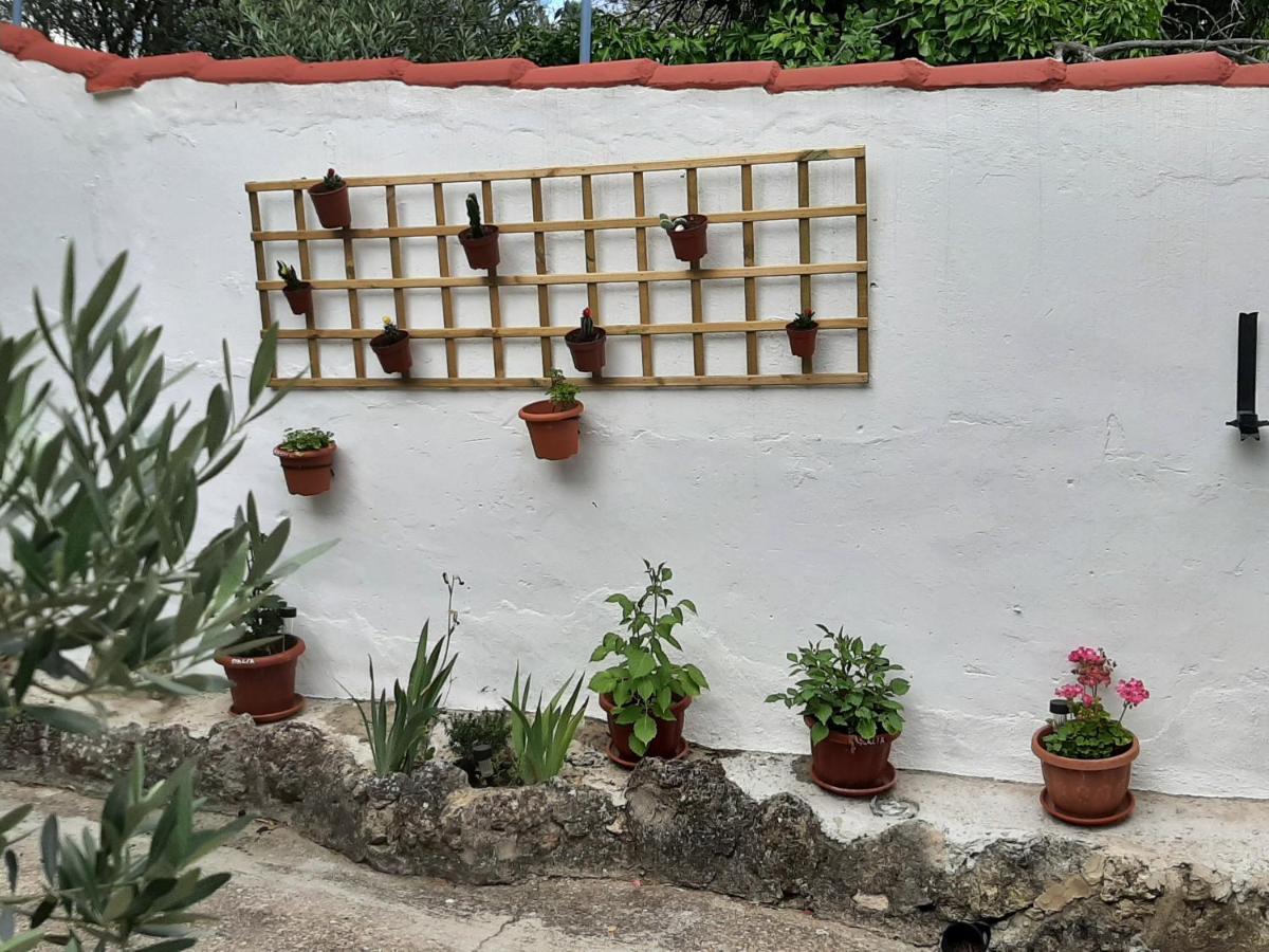 Casa Rural "Eccehomo De Borja" Konuk evi Dış mekan fotoğraf