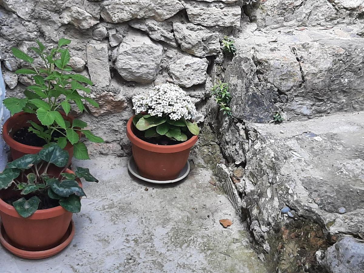 Casa Rural "Eccehomo De Borja" Dış mekan fotoğraf