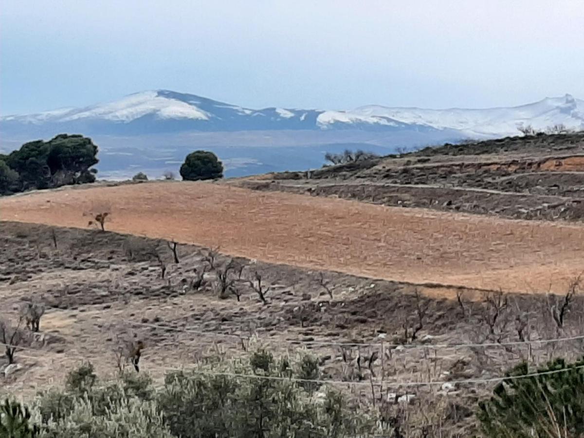 Casa Rural "Eccehomo De Borja" Konuk evi Dış mekan fotoğraf