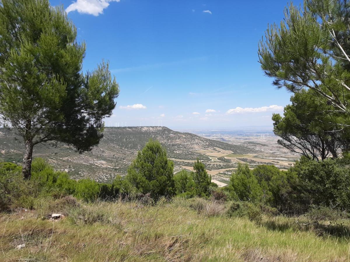 Casa Rural "Eccehomo De Borja" Konuk evi Dış mekan fotoğraf